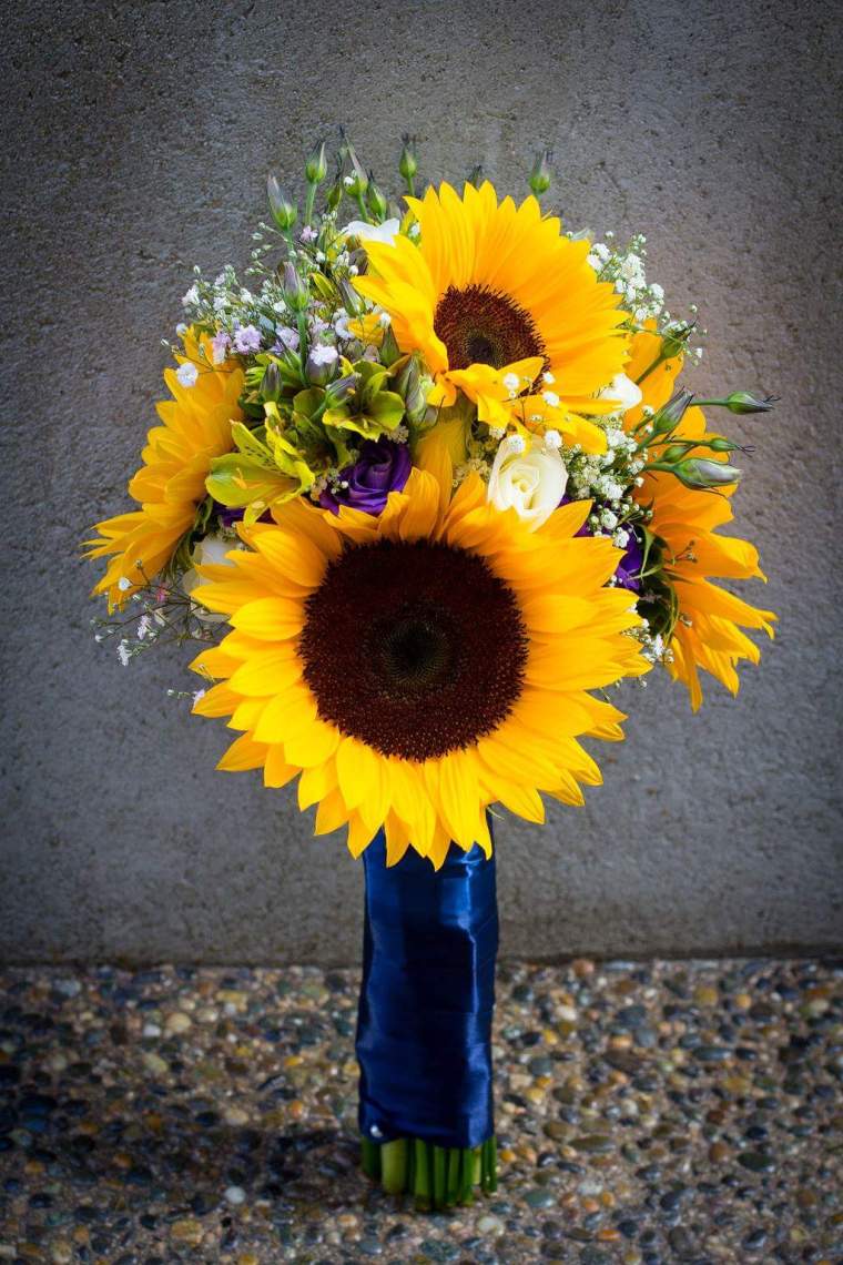 12901037_999387470136567_3559078306779171215_o