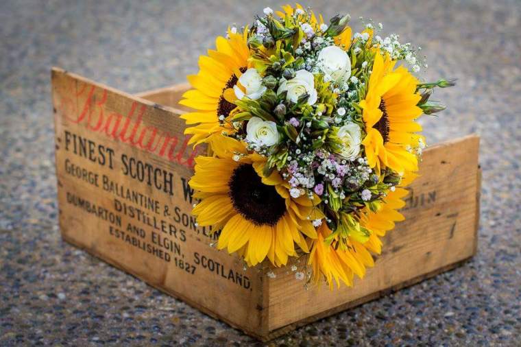 12901495_999387303469917_6486237786561709765_o